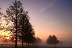 开云体育登录-从NBA到世界之巅，灰熊的强压哲学与塔图姆的全球接管